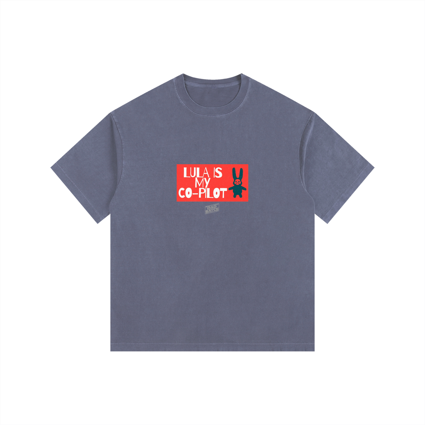 Lula Co Pilot Oversized Cotton T-Shirt